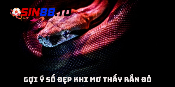 Sin88 gợi ý số đẹp khi mơ thấy rắn đỏ